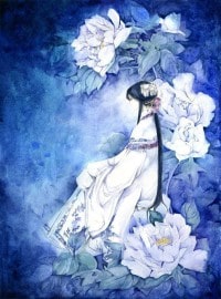 全能赘婿