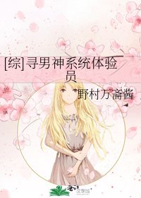 [综]寻男神系统体验员